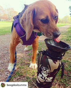 Lap-It-Up™ Dog Water Bottle