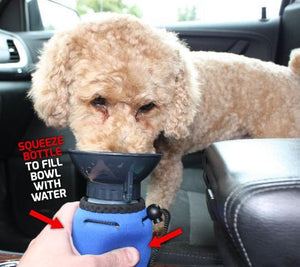 Lap-It-Up™ Dog Water Bottle